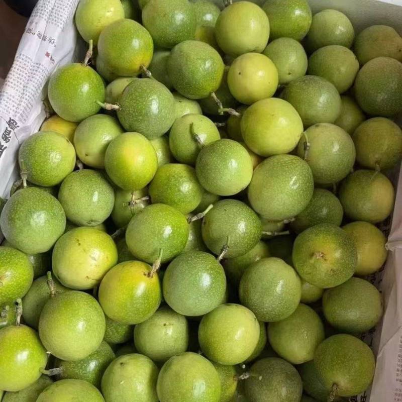 钦蜜9号黄金百香果大量