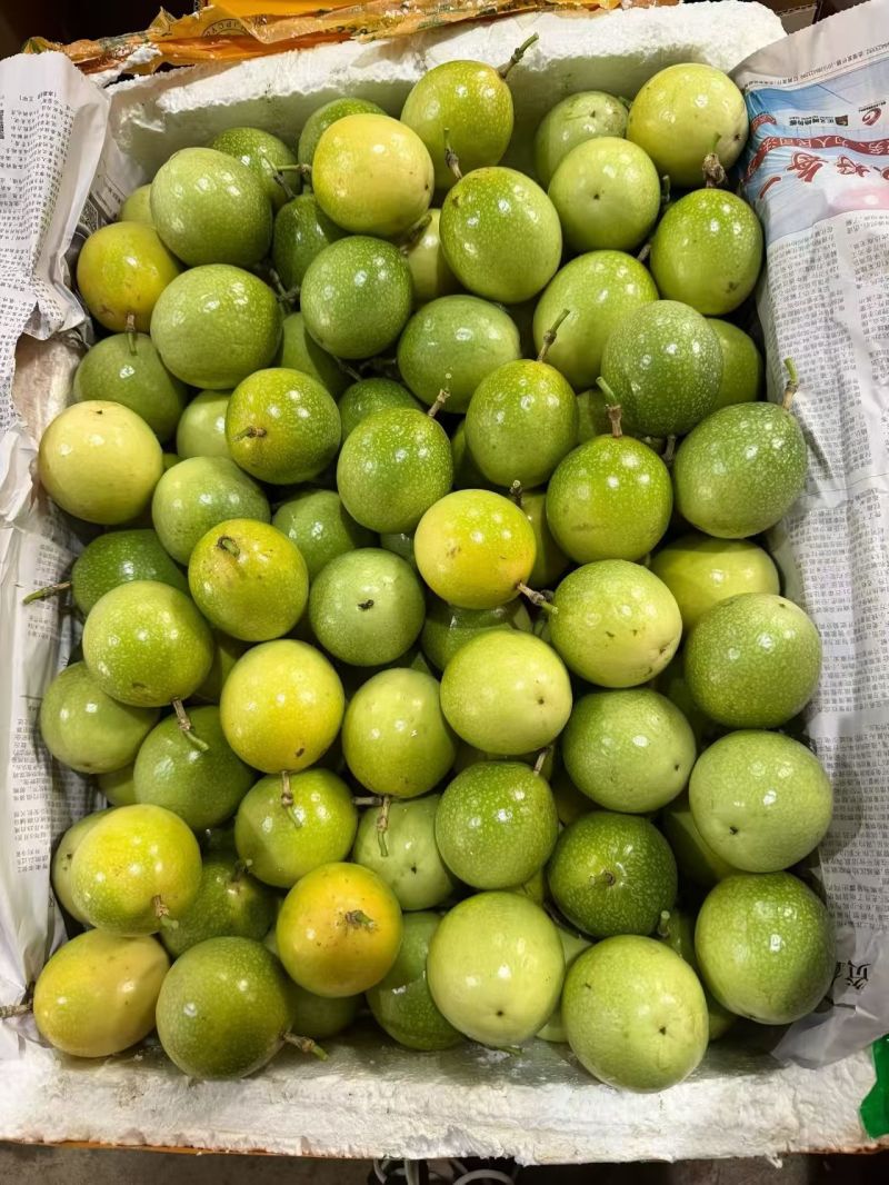 钦蜜9号黄金百香果大量
