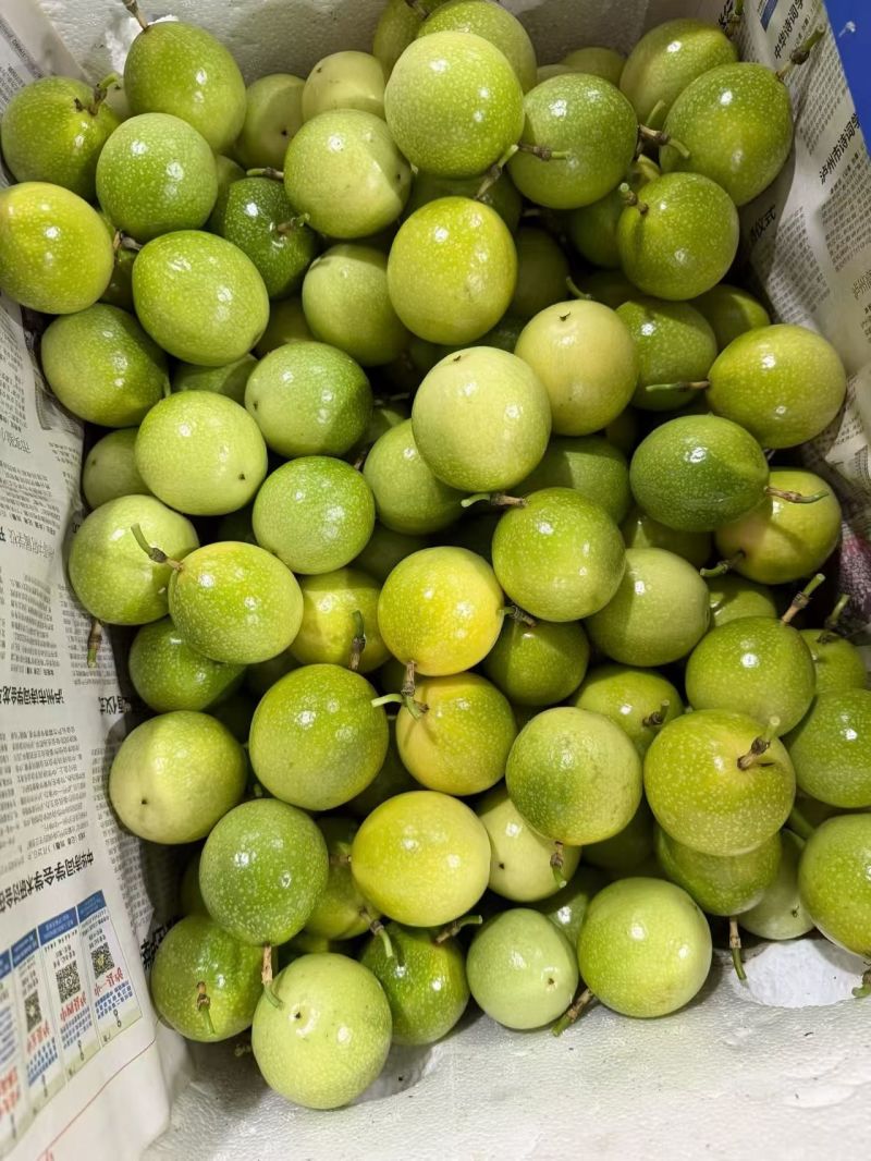 钦蜜9号黄金百香果大量