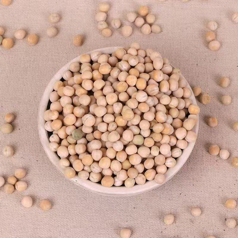 豌豆中粒豌豆大中小豌豆鸽粮加工原料豌豆