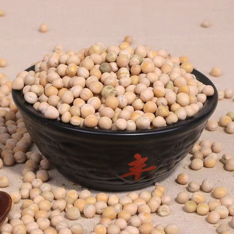 豌豆中粒豌豆大中小豌豆鸽粮加工原料豌豆