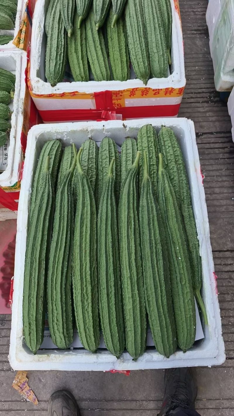 精品丝瓜