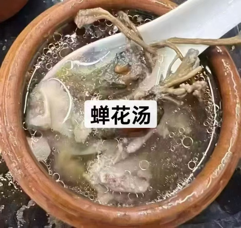 金蝉花南方大量现货批发金蝉药材批发金蝉花