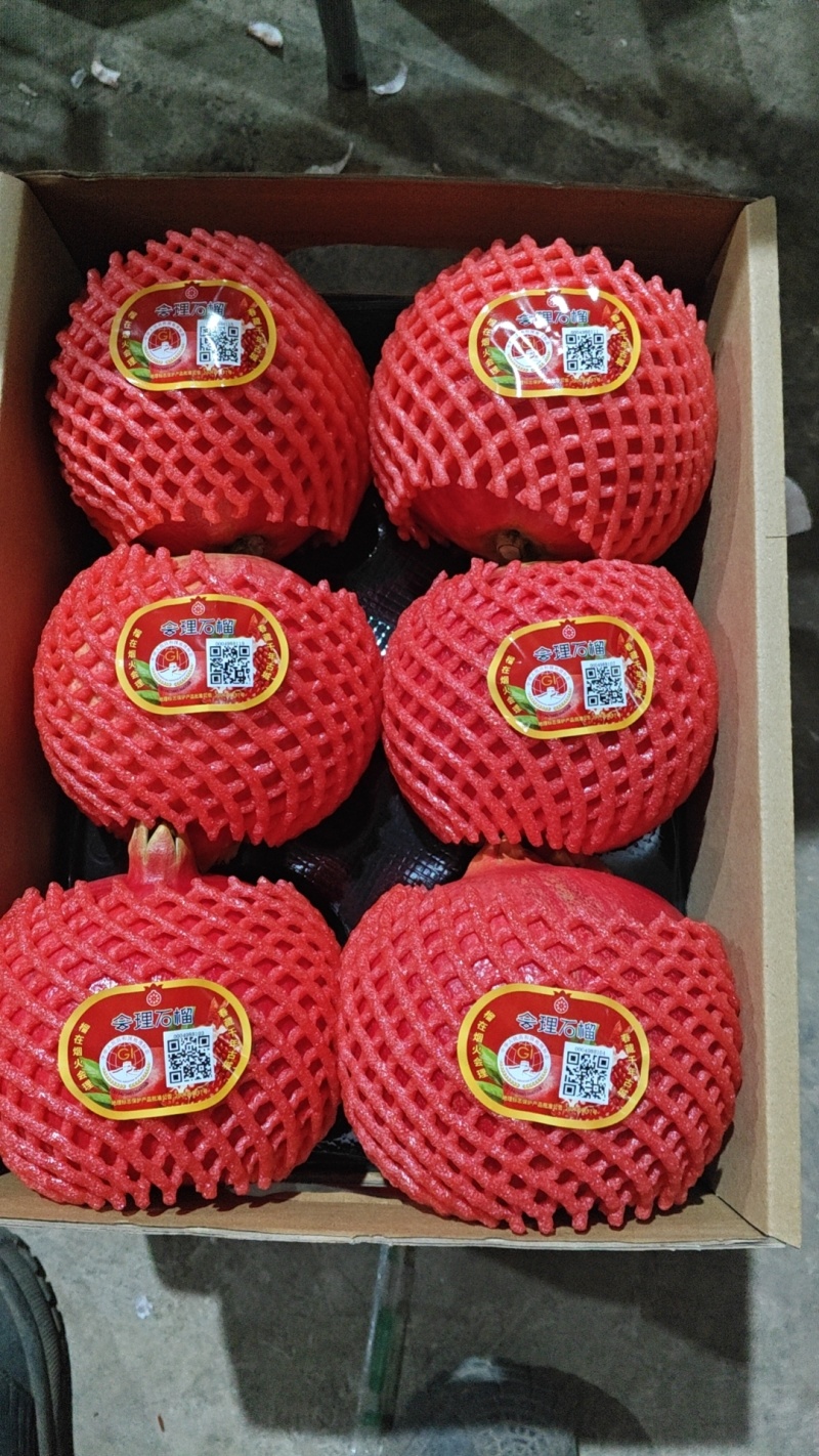 突尼斯软籽石榴