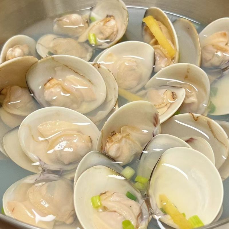 批发商用正宗鲜活文蛤蜊海鲜火锅底料文蛤车螺真文蛤美贝海鲜水产
