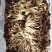 江西精品5号茶树菇