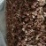 江西精品5号茶树菇