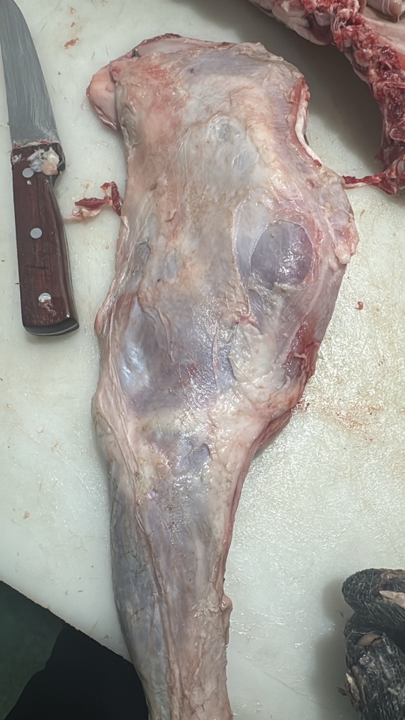 内蒙羔羊前腿。2.5到3.5斤单条重量纯干长期有货