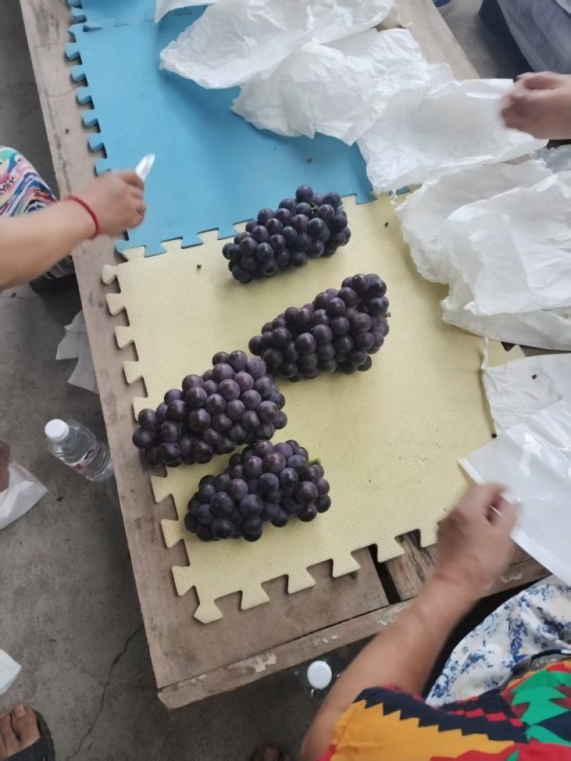 精品万亩户太