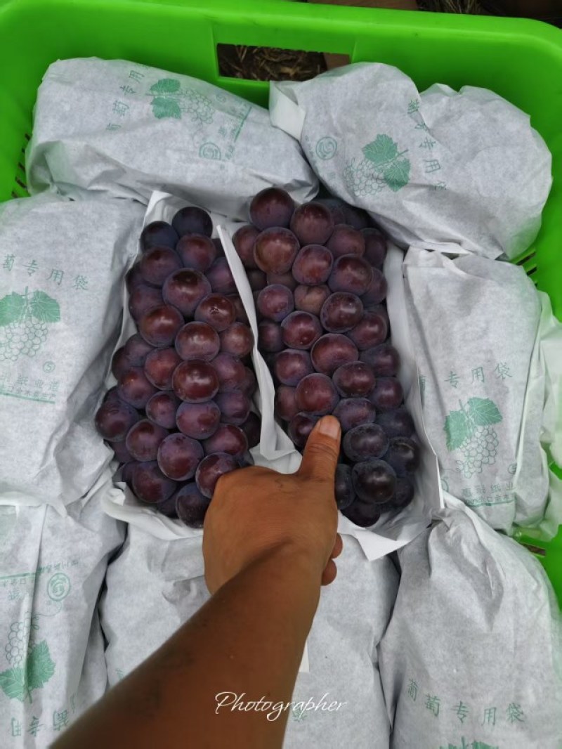 精品万亩户太