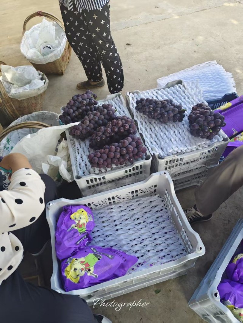 精品万亩户太