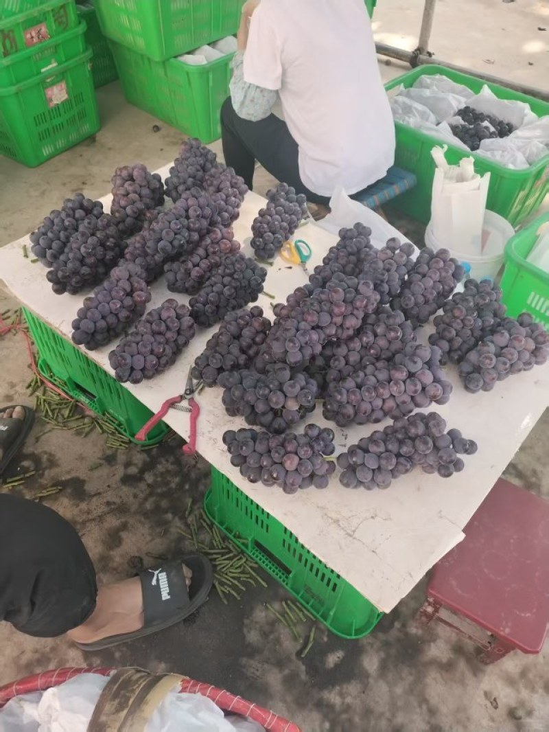 精品万亩户太