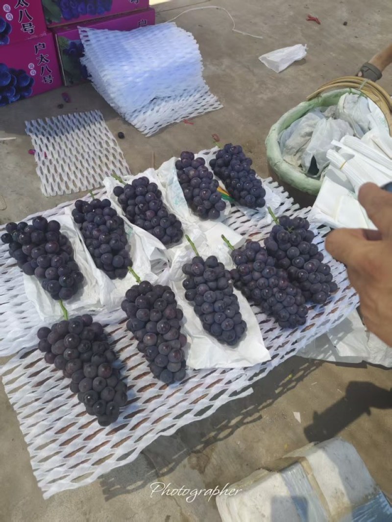 精品万亩户太