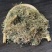 野生半边莲自然晒干