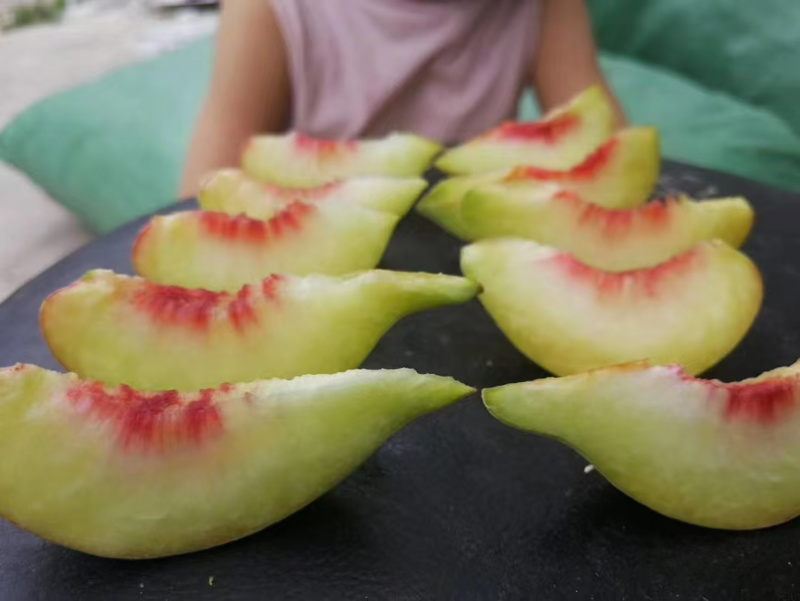 鹰嘴桃桃子水蜜桃