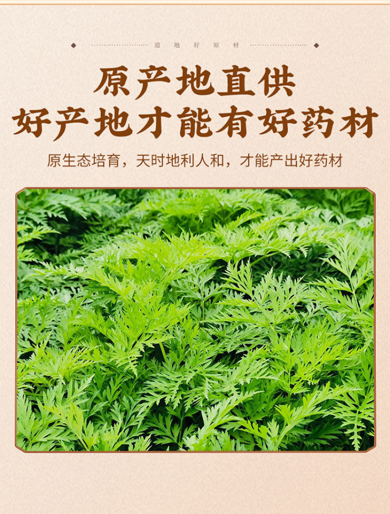 四川特级川芎当季新货川芎片煲汤中药材批发无硫一件代发