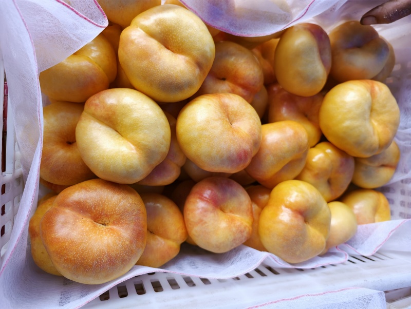 蒙阴黄油蟠桃7-7