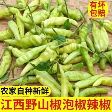 野山椒朝天椒魔鬼辣椒新鲜白辣椒