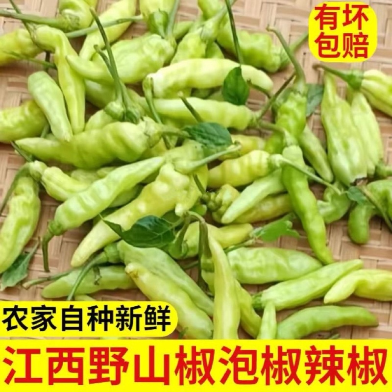 野山椒朝天椒魔鬼辣椒新鲜白辣椒