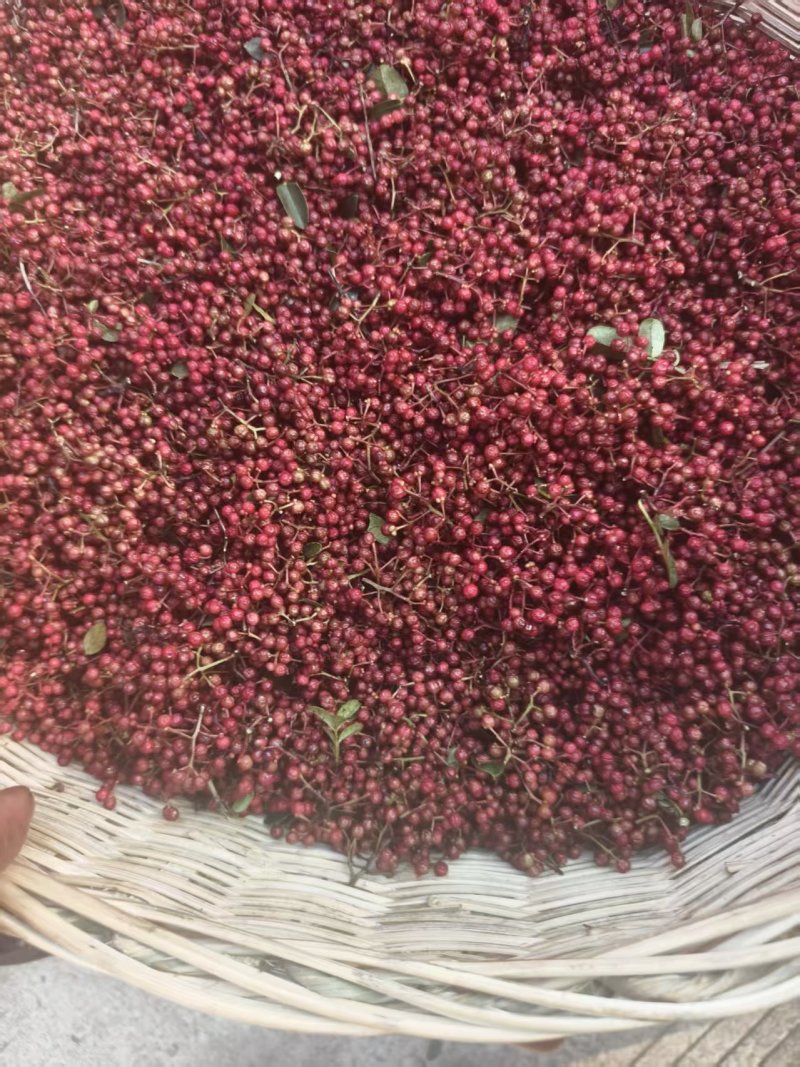 汉源红花椒（贡椒）汉源精品花椒红花椒原产地直发零售批