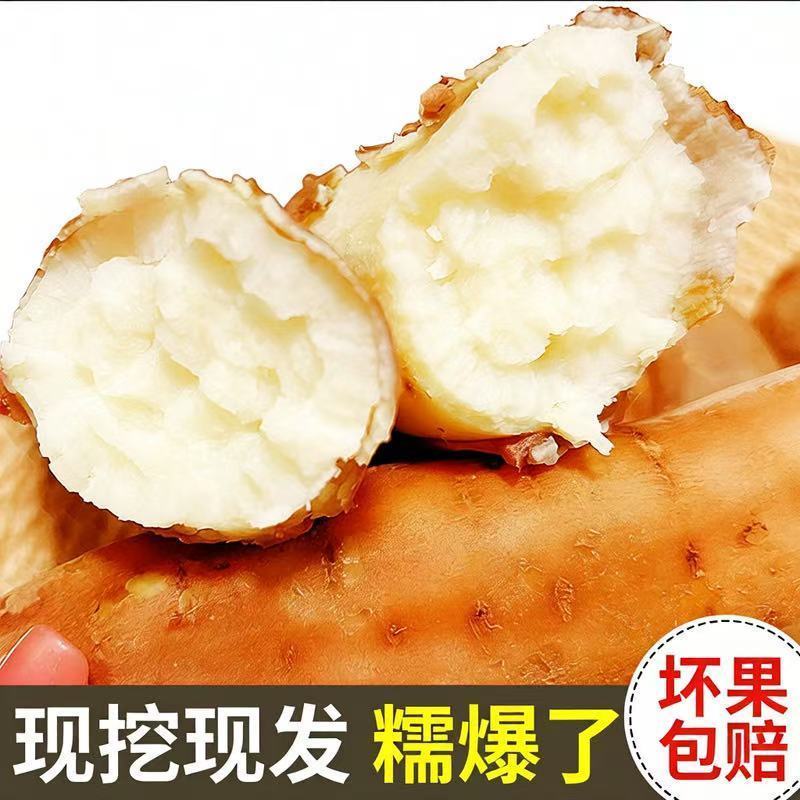 代发哈密薯电商商超品质