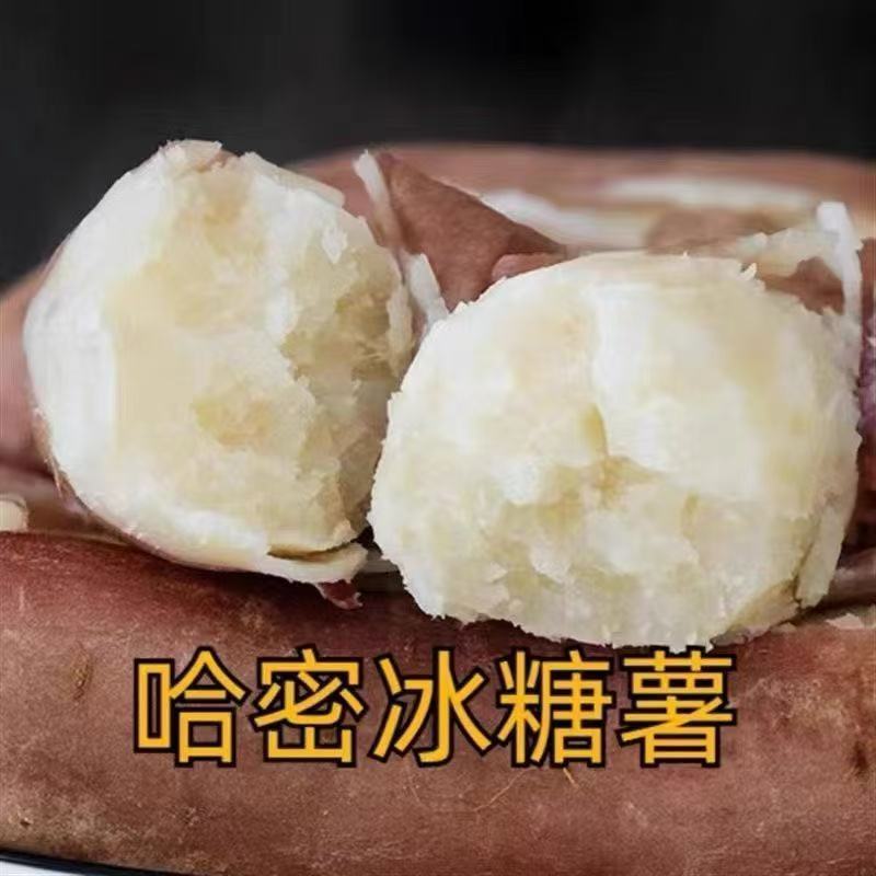 代发哈密薯电商商超品质