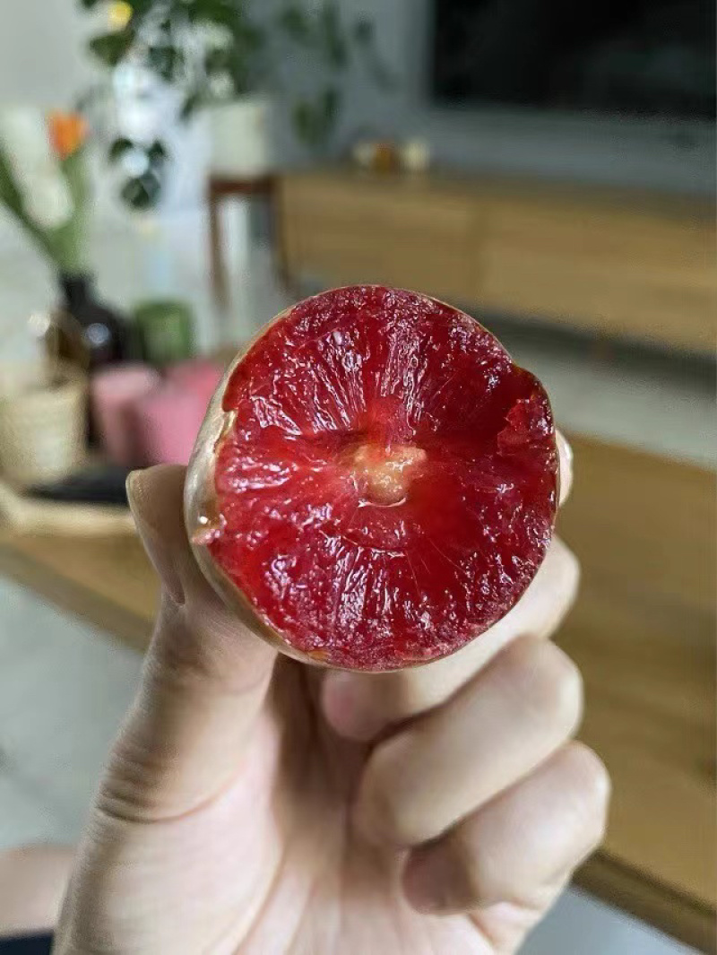 金品桃形李大量上市一手货源自产自销