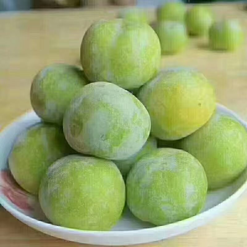 青脆李现在口感不错