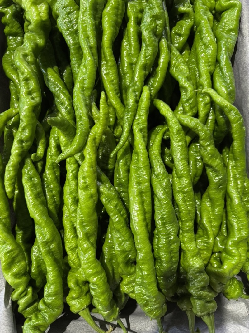 尖椒，龙椒