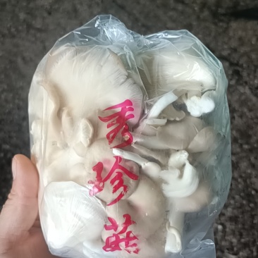 秀珍菇