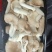 秀珍菇