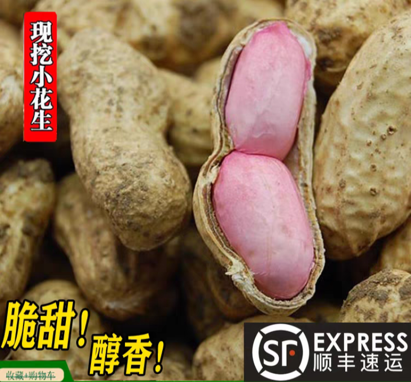 新鲜红皮花生