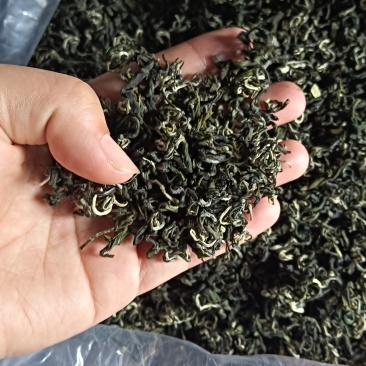 东江湖绿茶