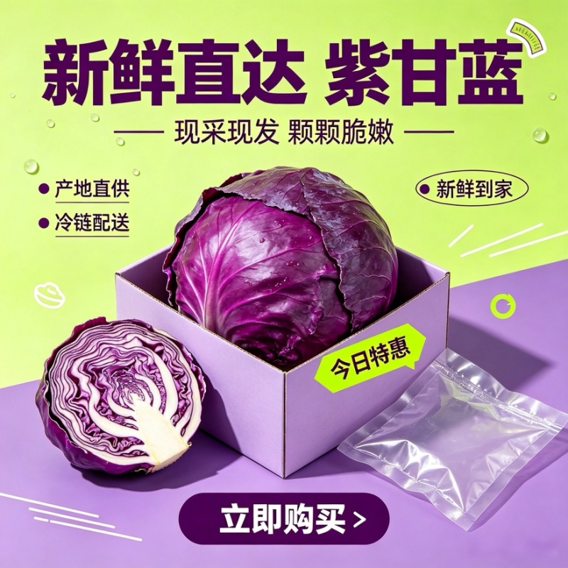 兰州紫甘蓝