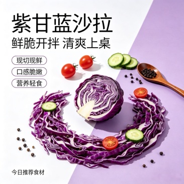 兰州紫甘蓝