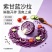 兰州紫甘蓝