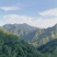 九蒸九晒野生鸡头黄精个子山货古法炮制滋补养生