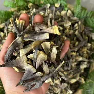 云南野生菌/干巴菌1000g