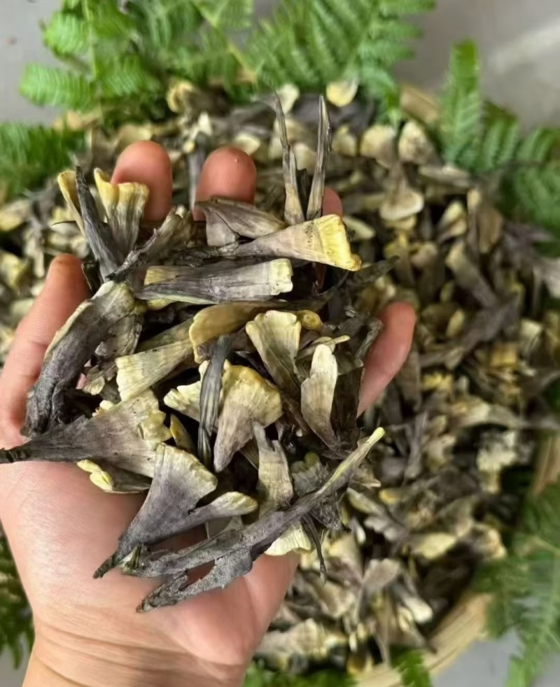 云南野生菌/干巴菌1000g