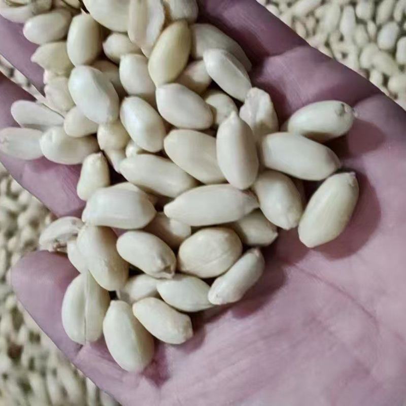 脱皮花生米乳白花生米去皮花生米食品原料白花生米