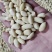 脱皮花生米乳白花生米去皮花生米食品原料白花生米