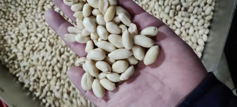 脱皮花生米乳白花生米去皮花生米食品原料白花生米