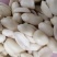 脱皮花生米乳白花生米去皮花生米食品原料白花生米