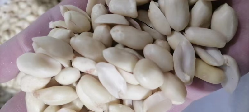 脱皮花生米乳白花生米去皮花生米食品原料白花生米