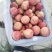 中油20