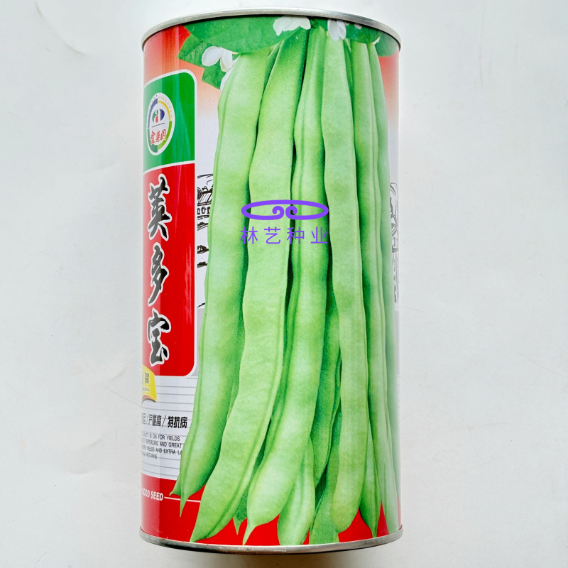荚多宝四季豆种子无筋不败芸豆种籽鲜嫩纤维高产