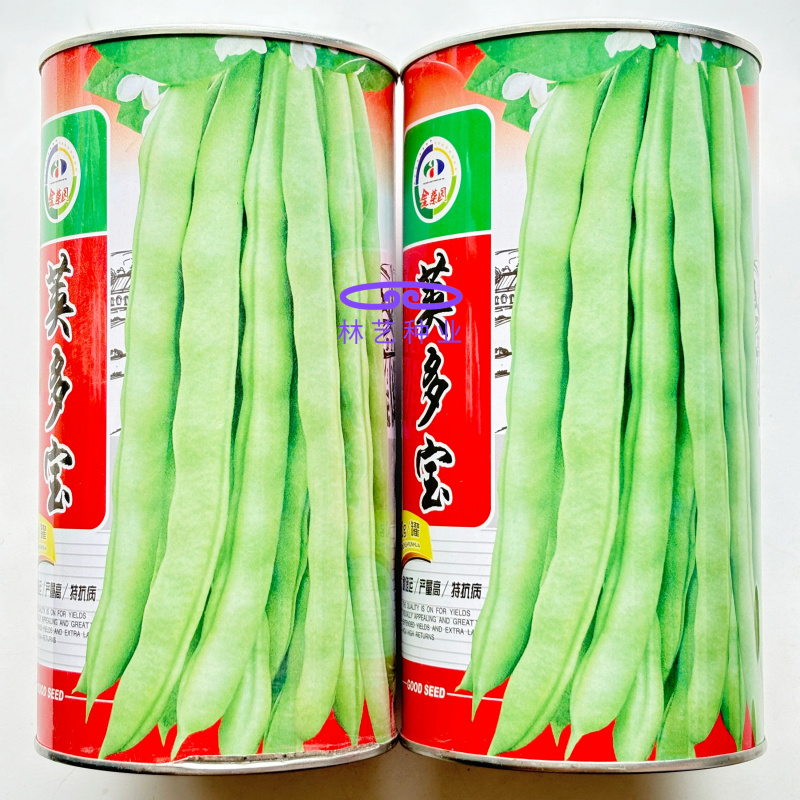 荚多宝四季豆种子无筋不败芸豆种籽鲜嫩纤维高产