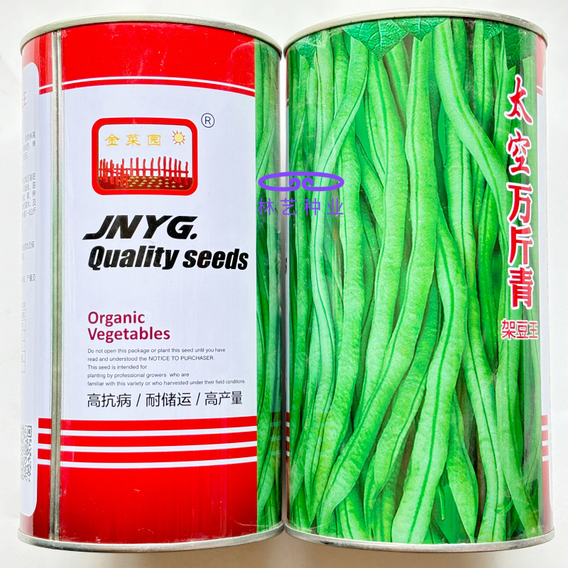 太空万斤青架豆王架豆种子嫩绿无筋长荚高产抗病商品性好春秋