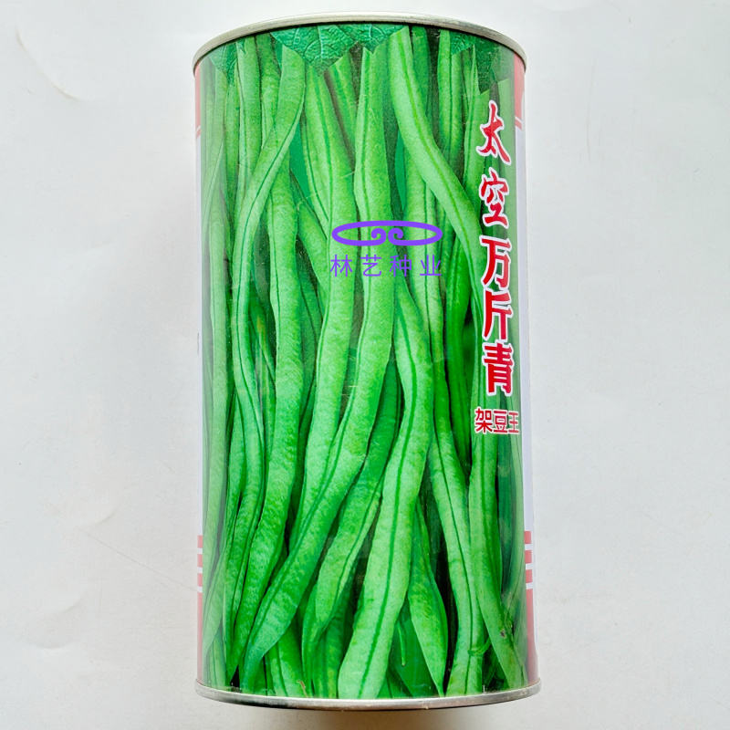 太空万斤青架豆王架豆种子嫩绿无筋长荚高产抗病商品性好春秋