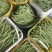太空万斤青架豆王架豆种子嫩绿无筋长荚高产抗病商品性好春秋